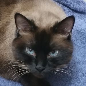 Meet your Posher, Nikki